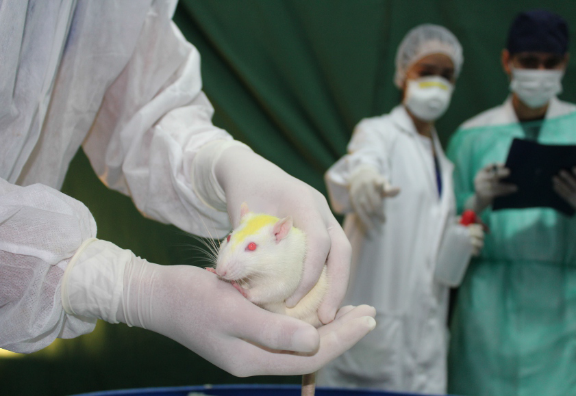 Neurofarmacología